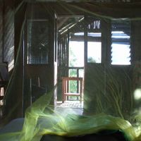 この部屋です。