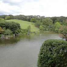 広々とした池の景色を眺めて