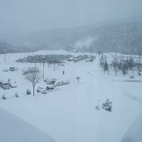 窓からの景色です。