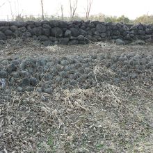 直江兼続が築いた「直江堤公園」の直江石堤