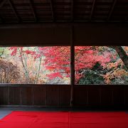 限定公開　白龍園　紅葉の頃