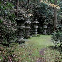 この苔道を歩く