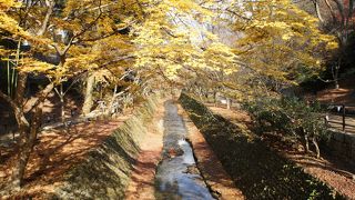 ほとんど崖のような地形になっていまして、想像を超える規模