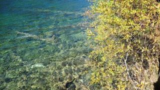 パンダの大好物に囲まれた湖！