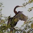 ケオラデオ国立公園