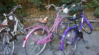 点在する神社仏閣をすいすい観光！