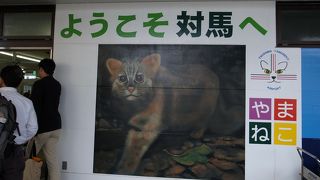 係員さんは親切でした