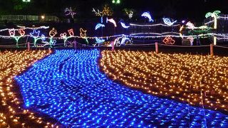 可愛らしいイルミネーションです。