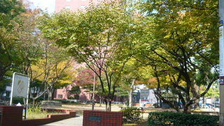 博多のオフィス街の中の公園