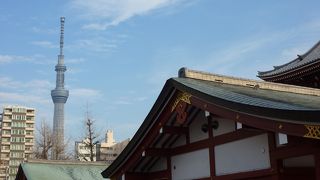 スカイツリーとの調和