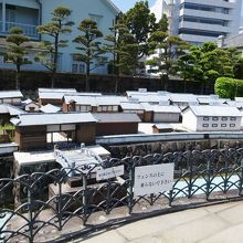 元の姿に戻るのはいつでしょうか