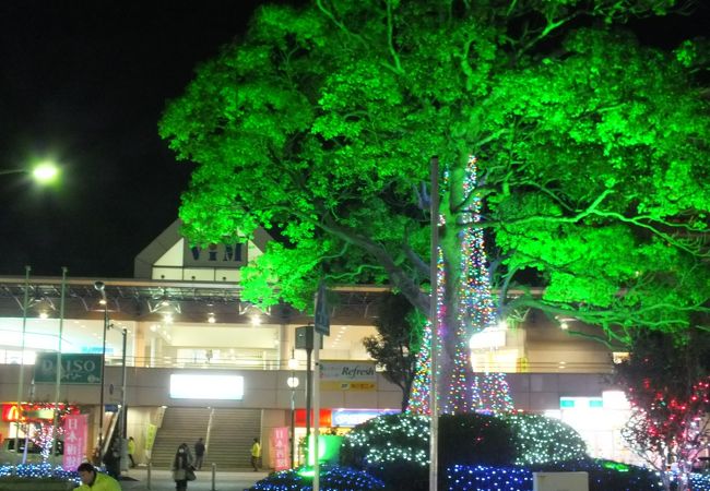 京成臼井駅 クチコミ アクセス 営業時間 佐倉 四街道 フォートラベル 京成臼井駅 クチコミ アクセス 営業時間 佐倉 四街道 フォートラベル