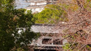 和歌山城とのコラボ写真は定番です。忘れずに撮って帰ってね。