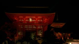 ライトアップも素敵。