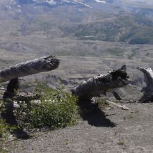 展望台近くにも残ってます