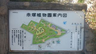 武蔵野の面影を残す植物園
