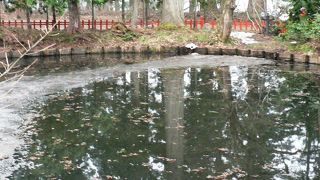 「池の御霊」と呼ばれている出羽三山神社の鏡池