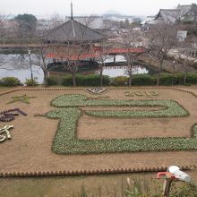 展望台からみた来年の干支の巳のジャンボ花絵です