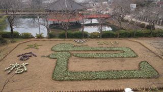 安倍文殊院、来年の干支の巳のジャンボ花絵が