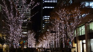 とうきょう　丸の内　ケヤキ並木ライトアップ 2012冬