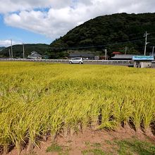 石屋根のあるところ
