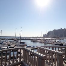 ヨットハーバーを望む