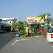沖縄定番のテーマパークの１つ