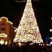 ディズニーランドのツリー