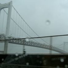 雨ふっていましたがこれが橋