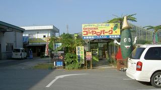 沖縄定番のテーマパークの１つ