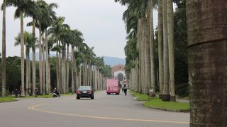 台湾大学