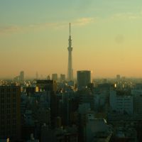 エレベーターから　朝焼けの中の東京スカイツリー