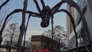 一日中楽しめます