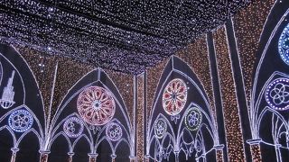 綺麗ですが、駐車場は考えて・・・