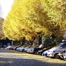 靖国神社の駐車場