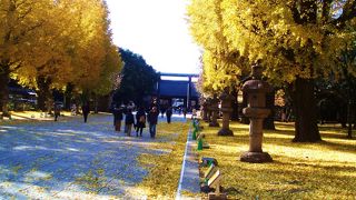 千鳥ヶ淵、皇居と一緒に散策したい靖国神社