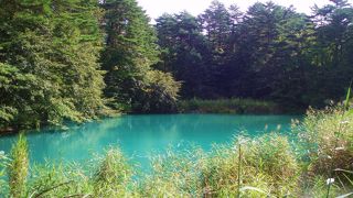 美しい沼を気軽にトレッキング