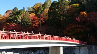 紅葉観賞スポット