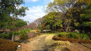 静かな公園を散歩