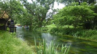 入場無料で楽しめます