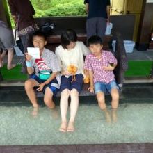 泉質は塩化物泉で、無色無臭 