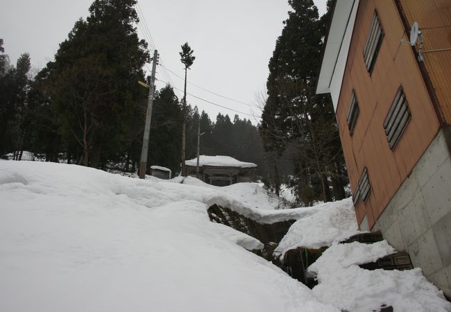 松之山温泉で毎年１月１５日に行われる「むこ投げ」の行事