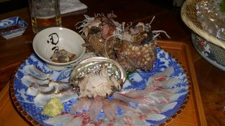 魚が美味いです