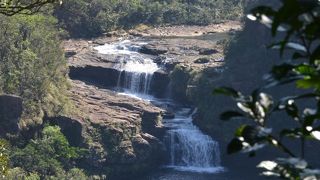 軽いハイキングで森林浴