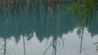 近年大人気の観光スポット