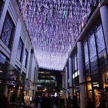 もっと暗ければ、と思うけど