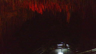 玉泉洞の鍾乳洞探検の他にも見どころいっぱい。