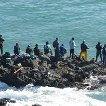 海岸では多くの釣人の姿が