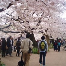 人でにぎわっています