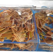 カニで有名